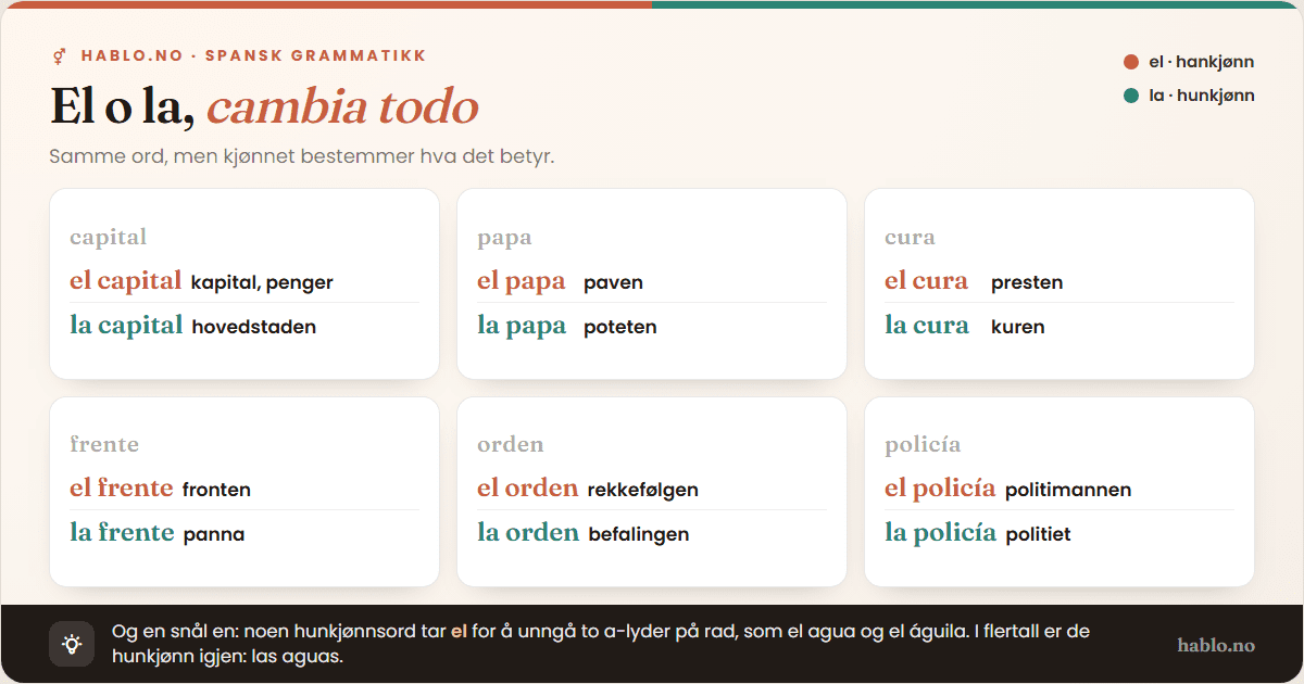 Infografikk som viser seks spanske ord som skifter betydning med kjønn: capital (el capital = kapital, la capital = hovedstad), papa (el papa = paven, la papa = potet), cura (el cura = prest, la cura = kur), frente (el frente = front, la frente = panne), orden (el orden = rekkefølge, la orden = befaling), policía (el policía = politimann, la policía = politiet).