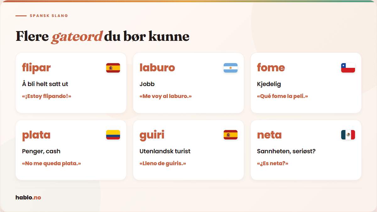 Infografikk som viser 6 spanske slangord med flagg og eksempler: flipar (Spania) – «¡Estoy flipando!», laburo (Argentina) – «Me voy al laburo», fome (Chile) – «Qué fome la peli», plata (Colombia) – «No me queda plata», guiri (Spania) – «Lleno de guiris», neta (Mexico) – «¿Es neta?». Illustrerer hvordan gateord varierer i den spansktalende verden.