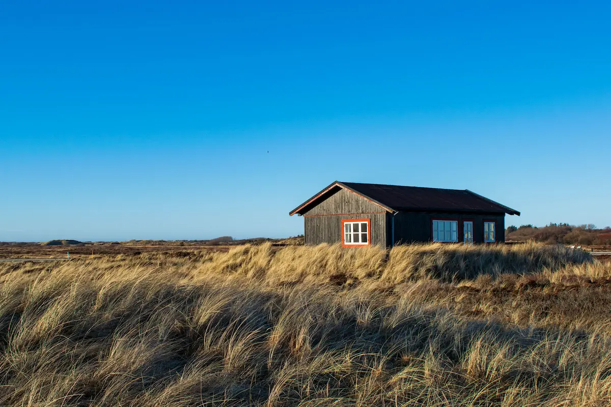 Utsikt over nordisk landskap
