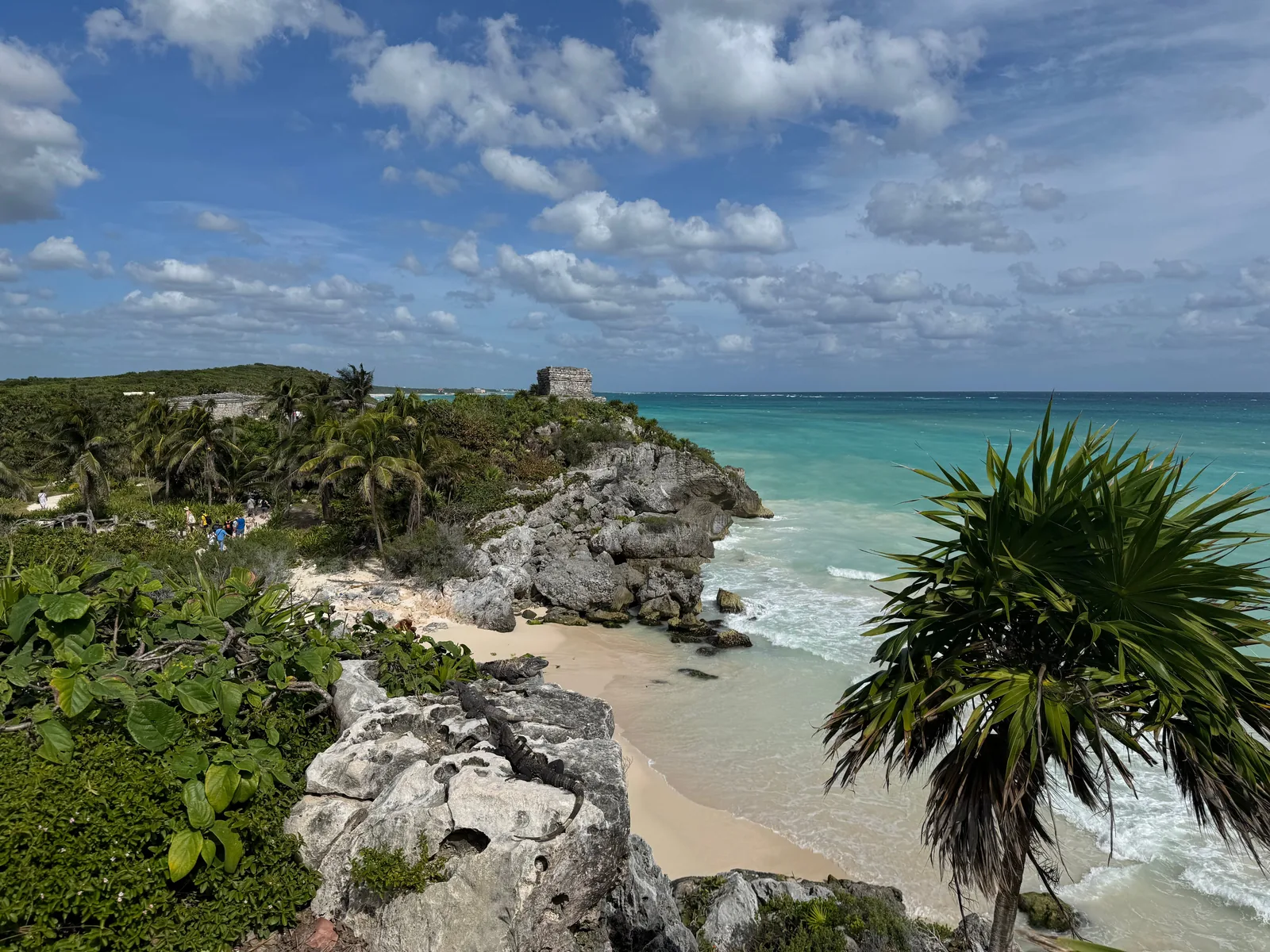 Kysten ved Tulum i Mexico med turkist hav, hvit sandstrand, palmer og en maya-ruin på klippen