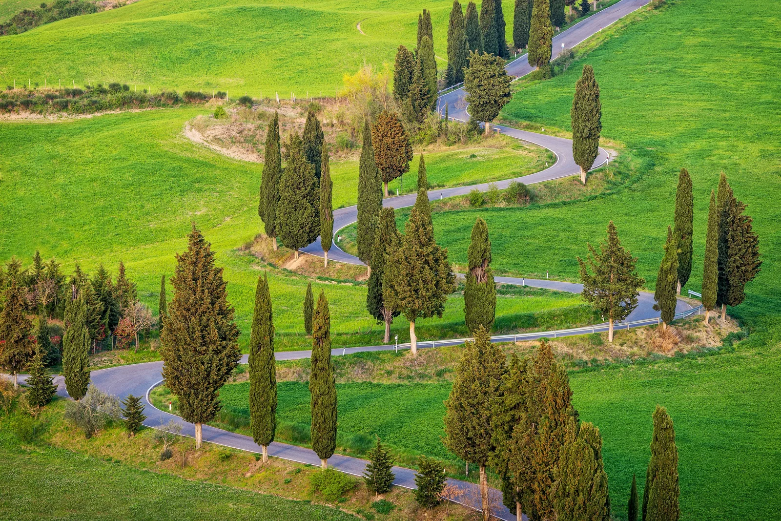 Slynget landevei omkranset av sypresser i det grønne Toscana